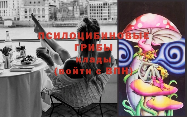 Альфа ПВП Алексин