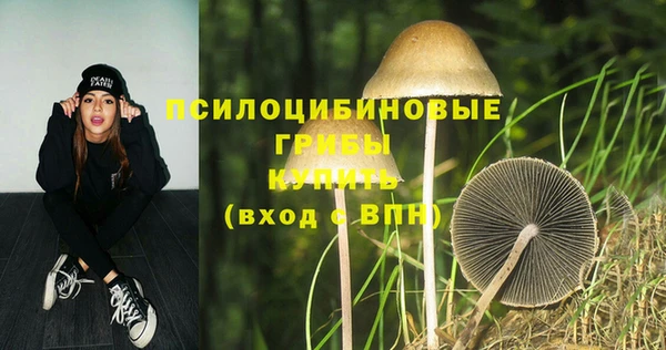 ГАЛЛЮЦИНОГЕННЫЕ ГРИБЫ Абдулино