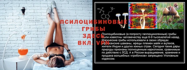 сатива Абаза