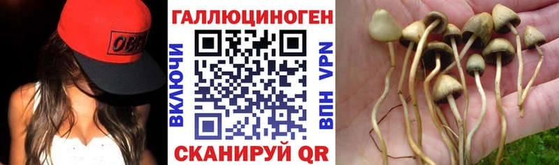 Псилоцибиновые грибы ЛСД  как найти наркотики  ОМГ ОМГ ТОР  Усмань 